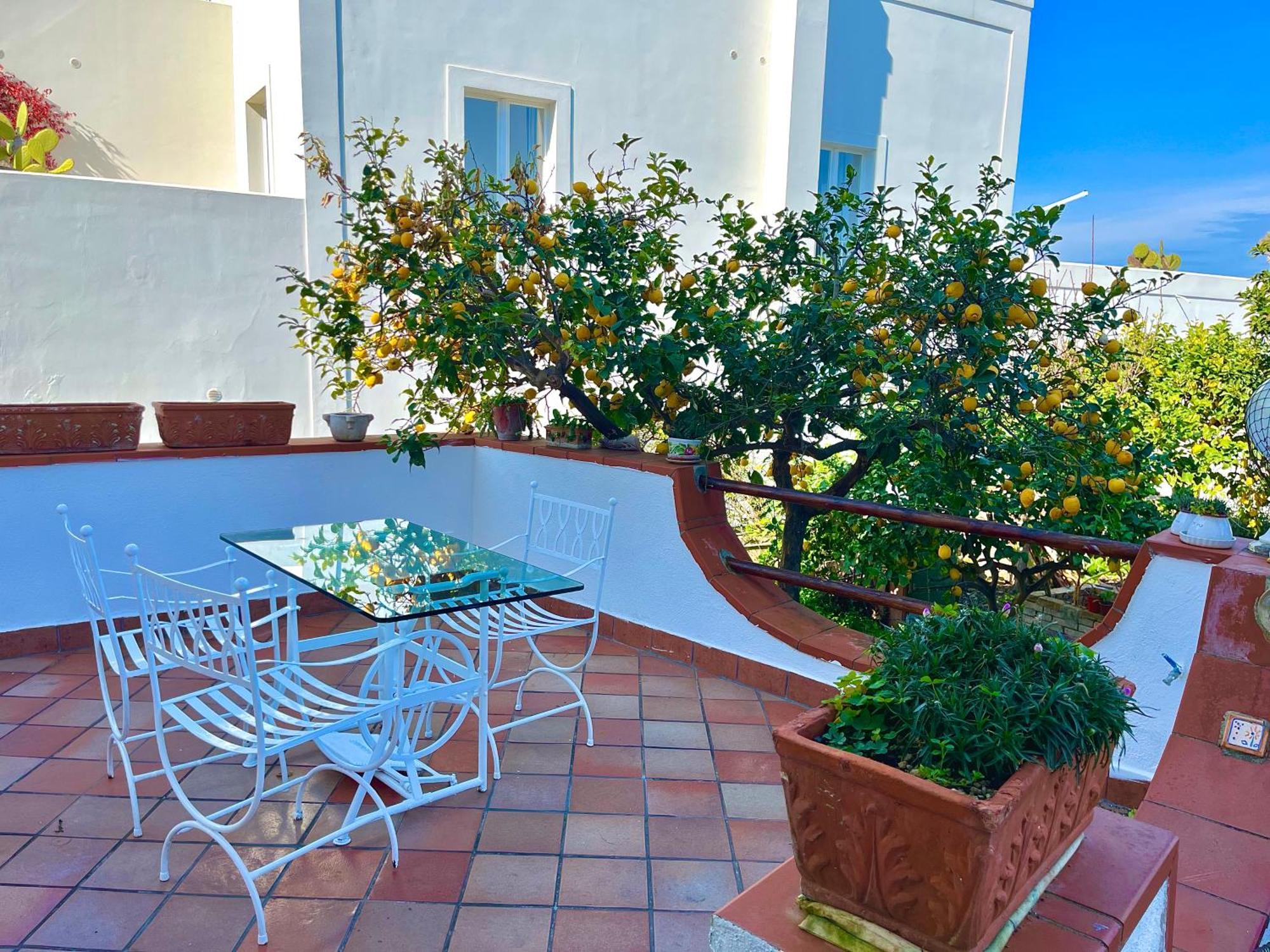 איסקיה Villa Elke מראה חיצוני תמונה